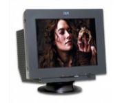 monitors leasing